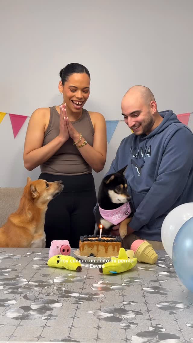 🥳💕🐾 Bizcocho de Cumpleaños Apto para Perros